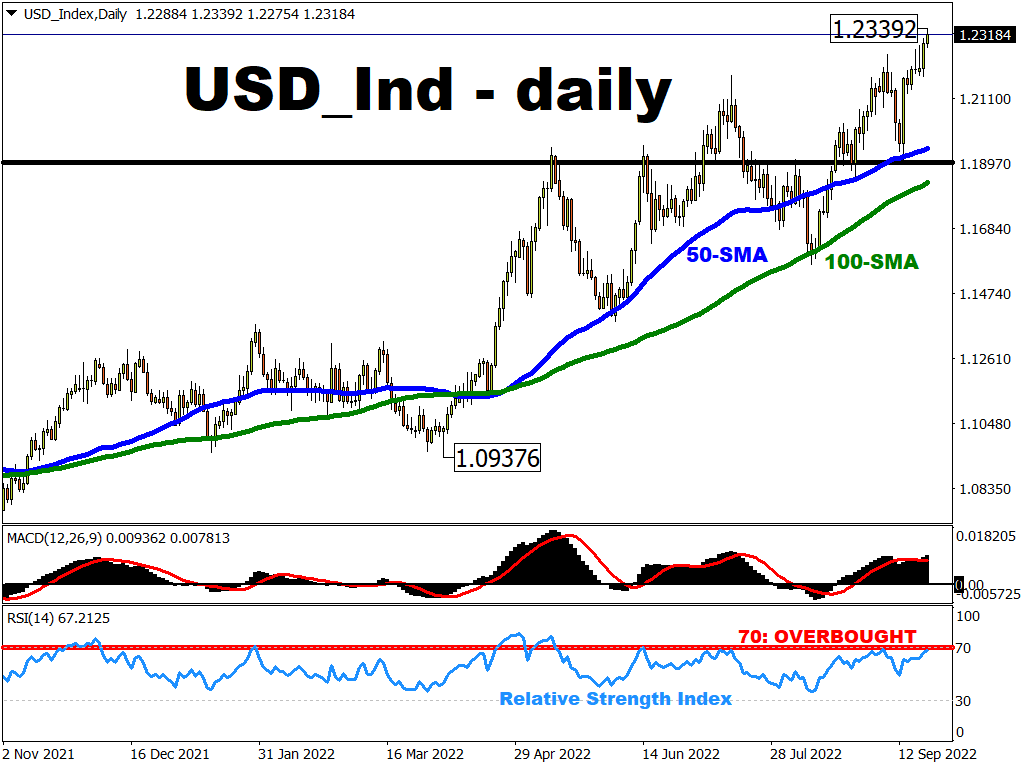 USD Index hits new 2-year high ahead of Fed hike